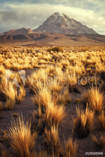 Picture of Landscape with the sajama volcano in the background plateau National Park bolivia
